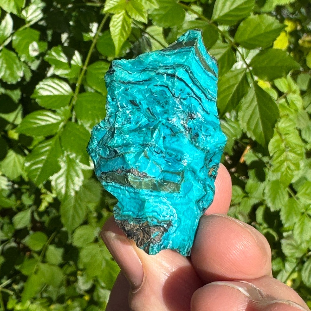 Chilean Blue Opal 1oz - Picture 2 of 5
